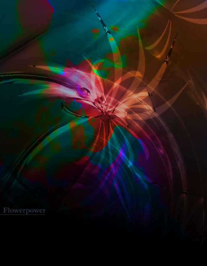 Digital-Art_Flowerpower.jpg