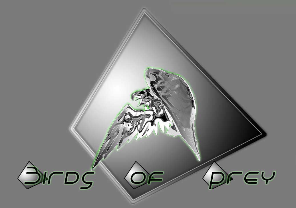 Logo_Birds-of-Prey-Gaming.jpg